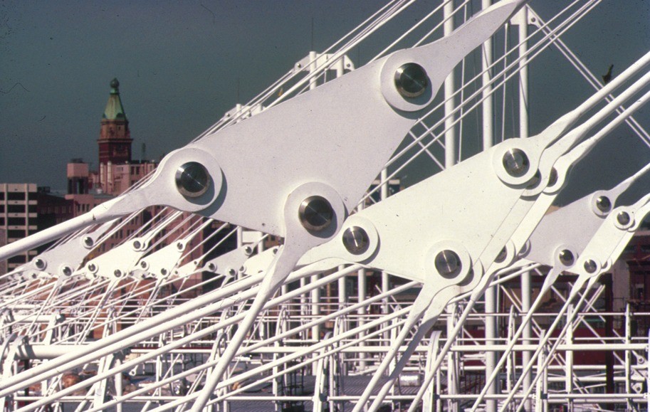 Evolution in practice; EXPO 2020 and a land of opportunity...